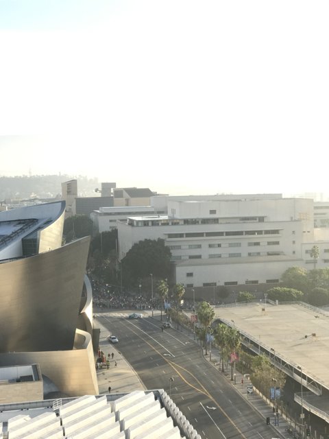 View from the Top of Walt Disney Concert Hall