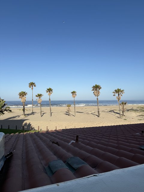 Tranquil Morning at Oxnard Beach