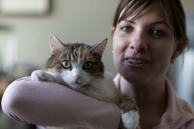 Woman Cradling Alert Tabby Cat Indoors