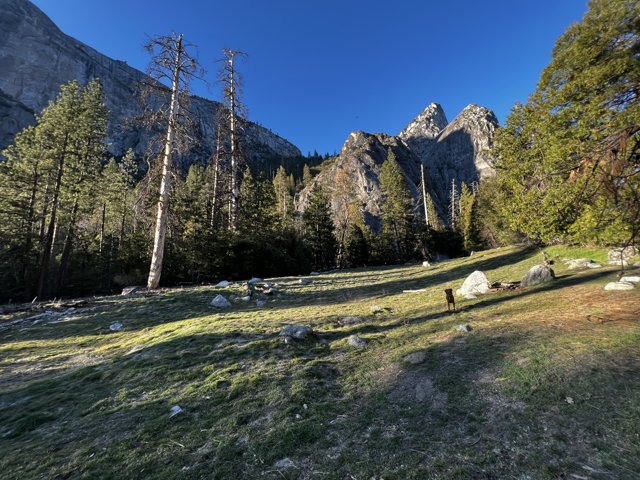 Majestic Yosemite Mountains