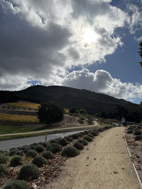 Stroll Through Carmel's Cloudy Countryside