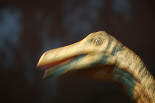 Elusive Dino