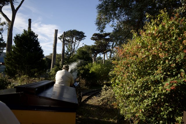 The Enchanting Forest Railway Ride