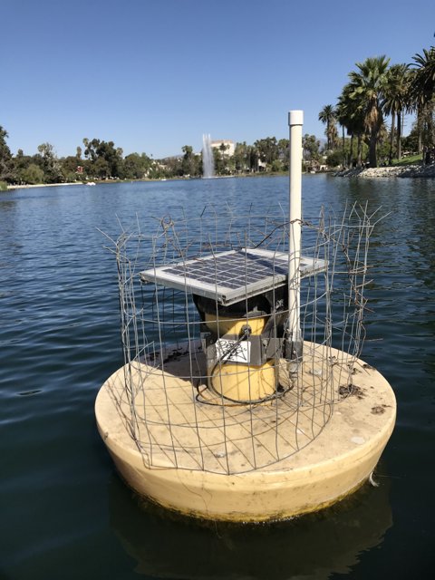 Solar-Powered Boat Enjoying the Serenity of the Lake