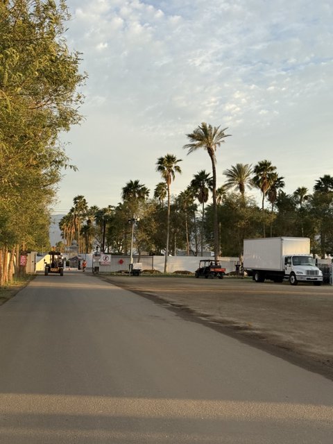 Tranquil Roadside Scene at Empire Polo Club