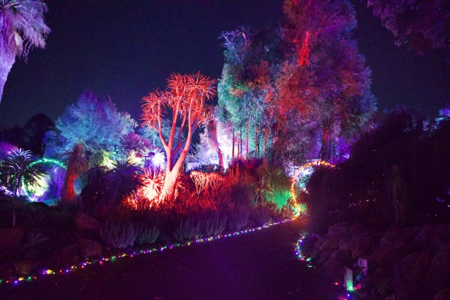 Enchanted Night at Ruth Bancroft Garden