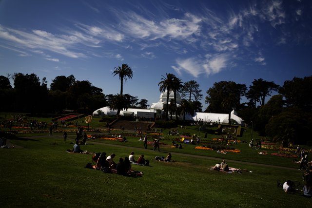 A Blissful Summer Afternoon in Golden Gate Park