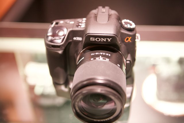 Sony A7R II: The Ultimate Review