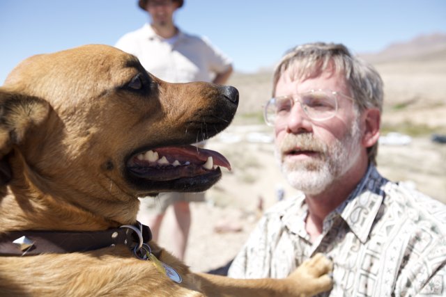 Desert Dog Petting