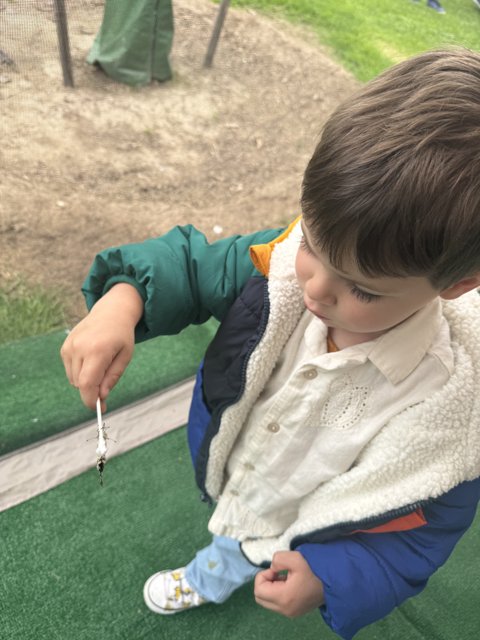 Exploring Nature's Wonders