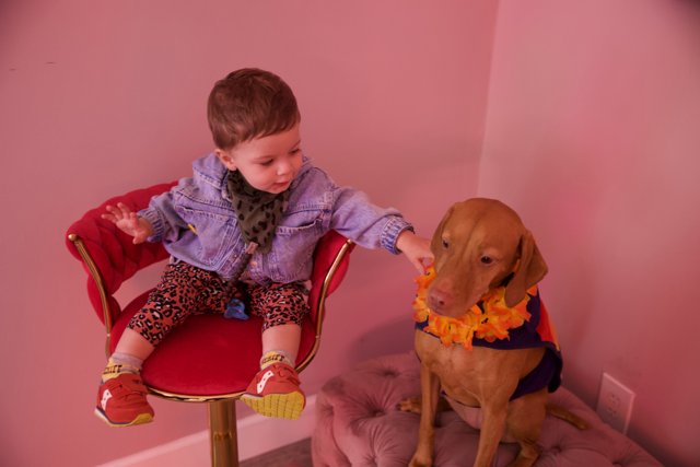 A Birthday Bond: Wesley & His Canine Companions