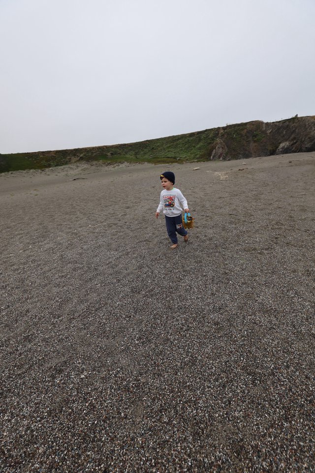 Young Explorer Walking on a Misty Beach