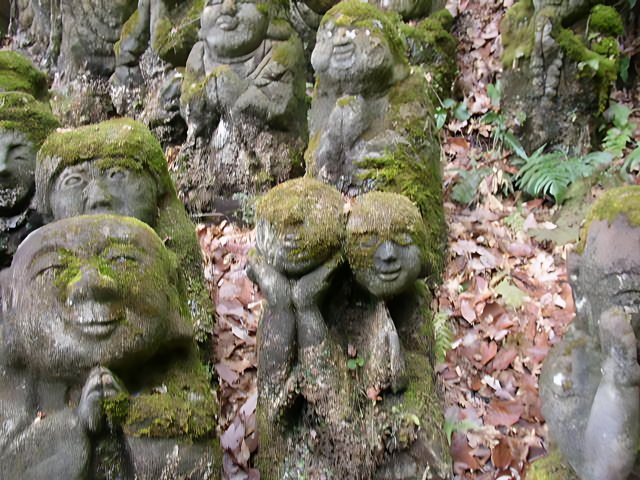 Faces of the Rainforest