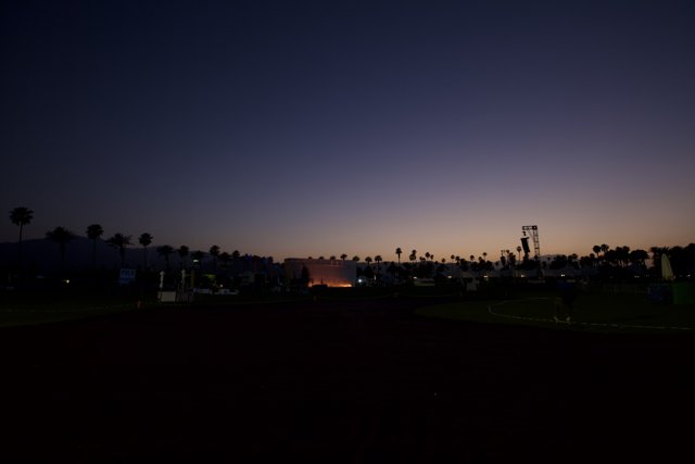 Palm Tree Sunset at the Baseball Field