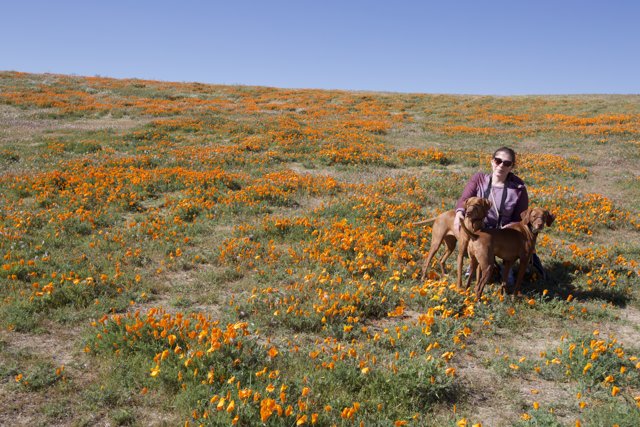 Woman and Horse Among the Wildflowers