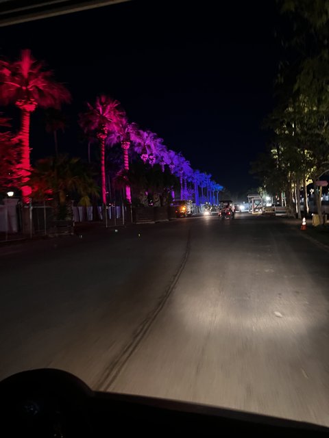 Nighttime Scenery in the Metropolis