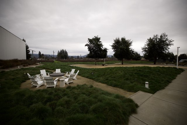 Tranquil Fire Pit Gathering Space on Overcast Day