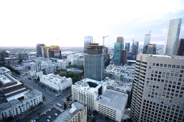 Overlooking the Urban Jungle