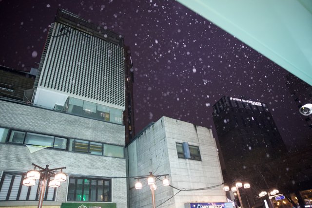 Winter Symphony in Urban Korea