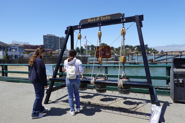 Interactive Block and Tackle Physics Demonstration