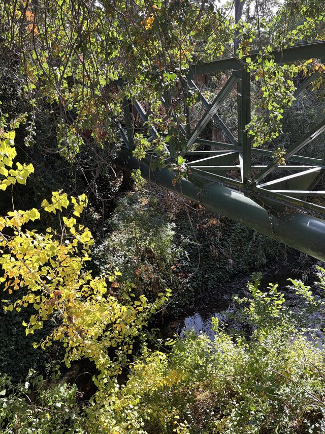 Abandoned Industrial Structure Reclaimed by Nature
