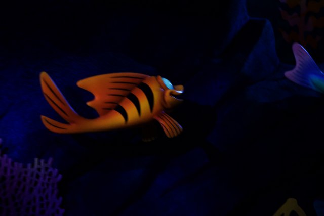 Discovering Nemo's Lost World