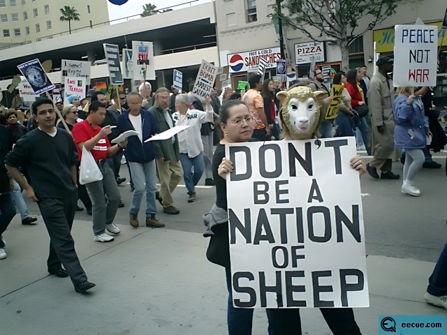 Don't Be a Sheep: A Powerful Message