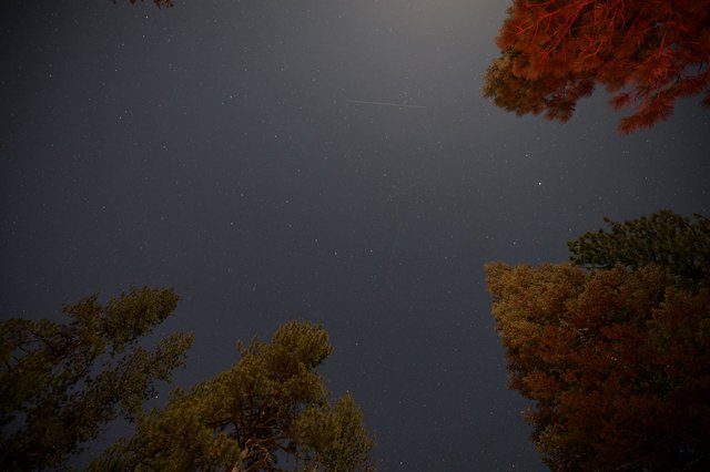 Meteor Streaks Over Lassen's Star-Filled Night Sky