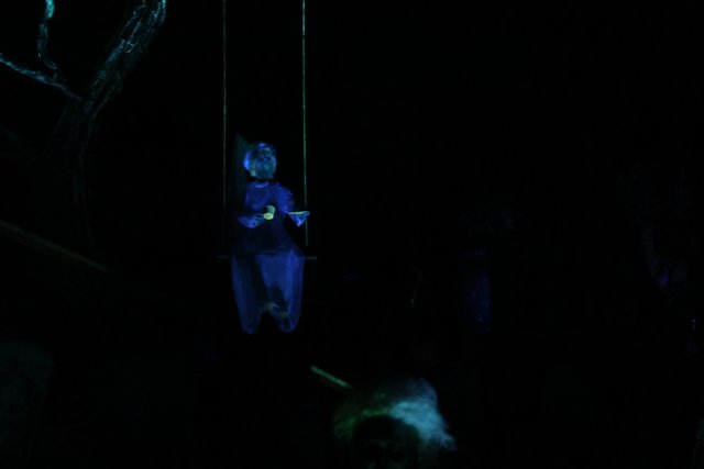 Swinging in the Dark