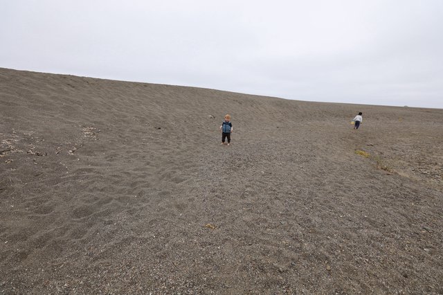 Children Exploring a Vast Gray Sand Dune