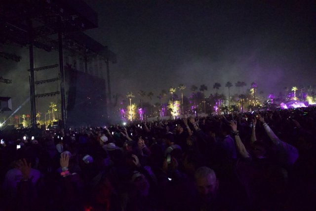 Illuminated Palms and Excited Crowds at Coachella 2024