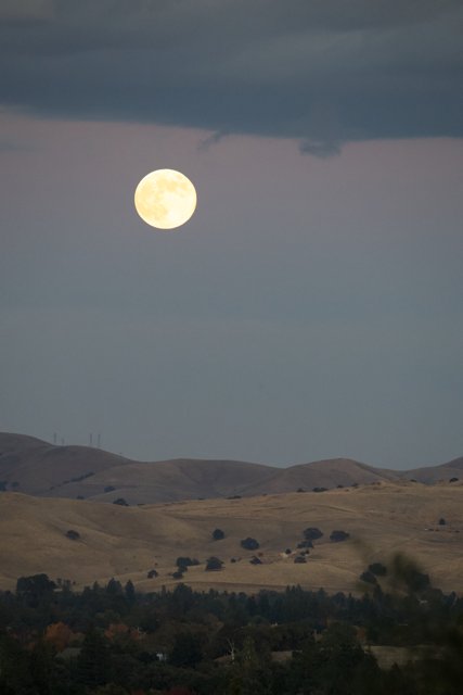 Lunar Grace Over Walnut Creek