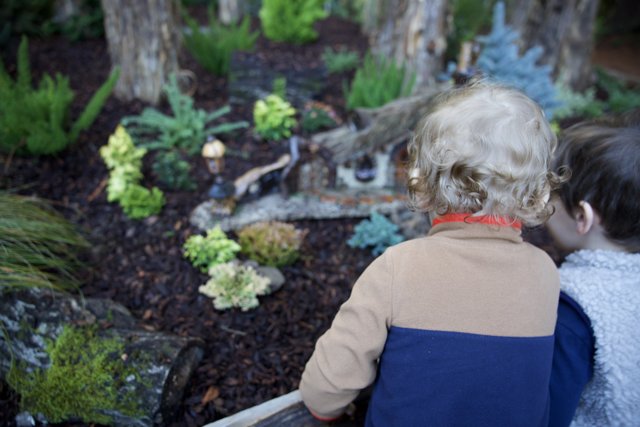 Wonder in the Woodland