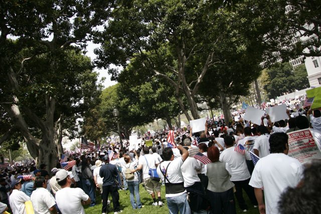 A Protest in the Park