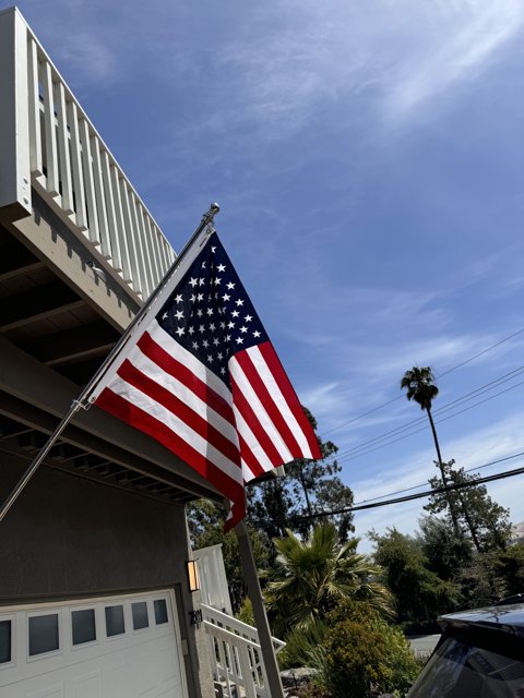 Stars and Stripes in Walnut Creek