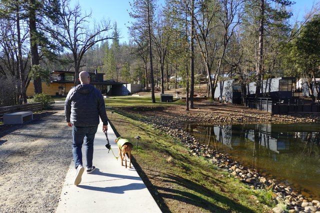 Man Walking Dog Along Peaceful Residential Pond