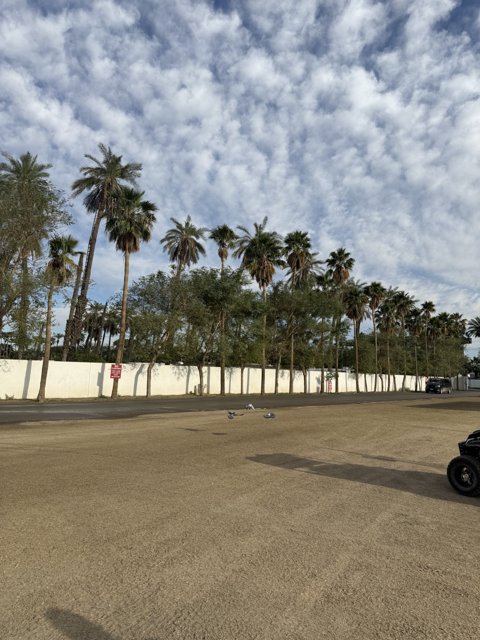 Tranquil Afternoon at Empire Polo Club