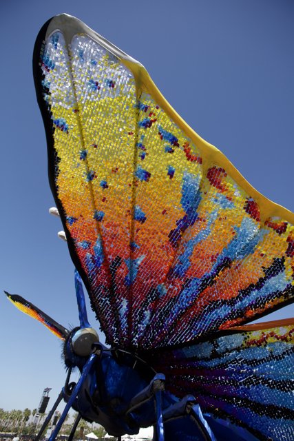 Colorful Butterfly in the Sky