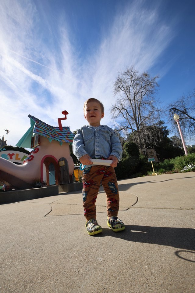 Young Boy Enjoys Day at Disneyland's Fantasyland