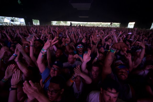 Coachella Crowd Goes Wild Caption: The audience at Coachella 2015 weekend one can't contain their excitement, as they throw their hands up and sing along to their favorite songs.