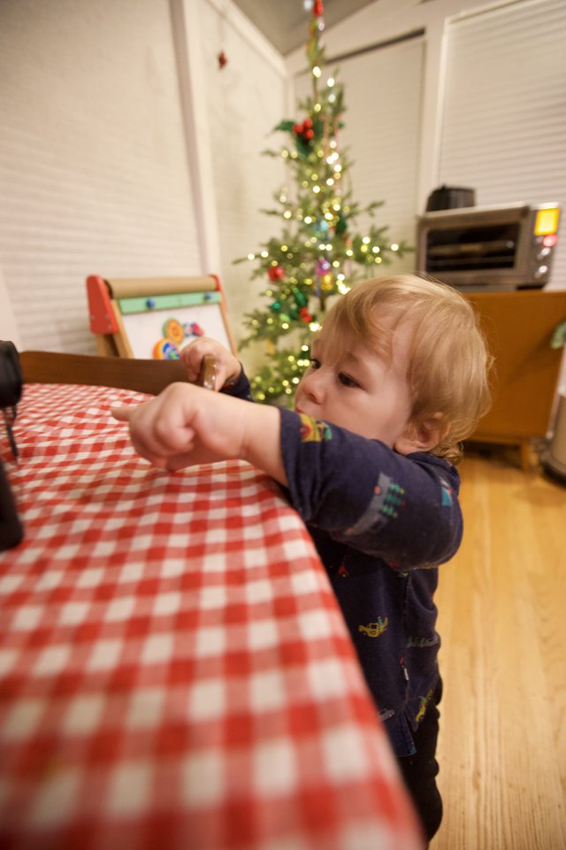 Toddler Reaching Towards Christmas Tree at Home