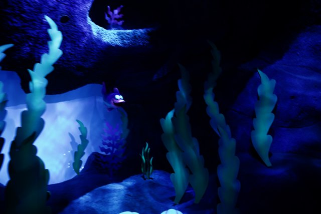 Enchanting Purple Fish Encounter at Disneyland
