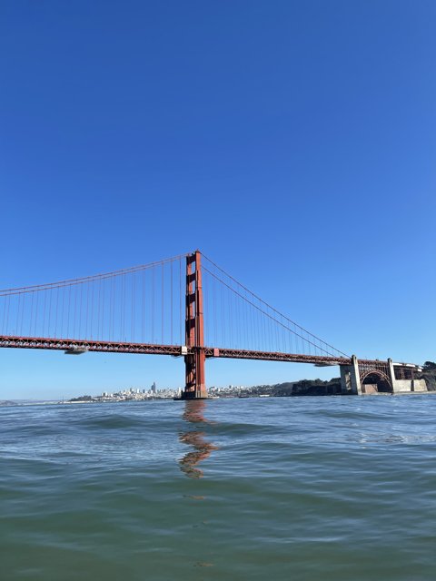 A Golden View of the Golden Gate