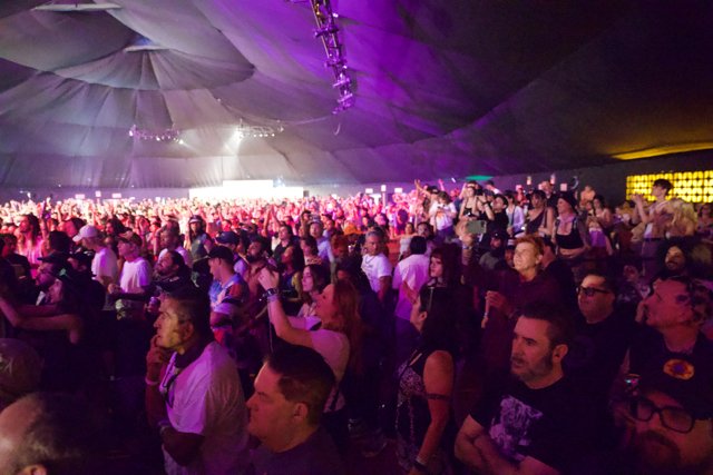 Under the Canopy: Vibrant Nights at Coachella 2024