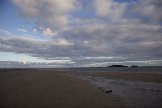 Solitude on the Shoreline