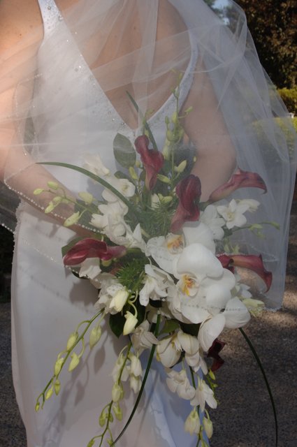 Wedding Bouquet Beauty
