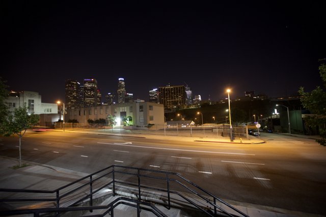 Nighttime Views of the Urban Jungle