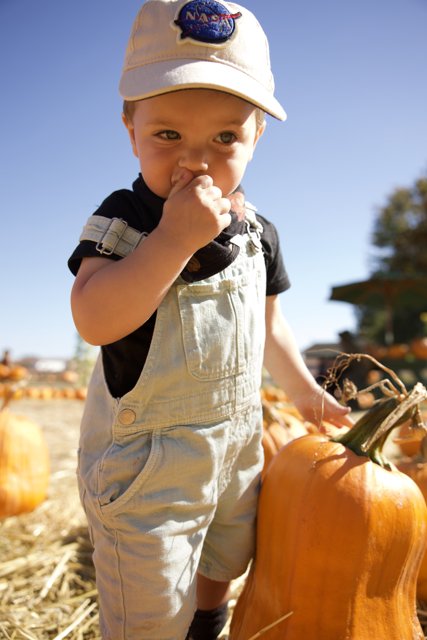 Little Pumpkin Picker, Wesley