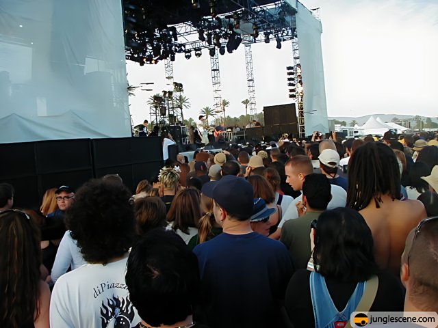 Coachella 2002: A Sea of Music Fans