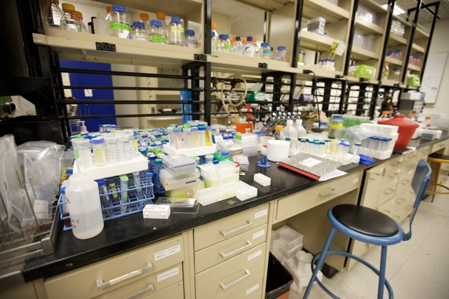 A Well-Stocked Biotech Laboratory